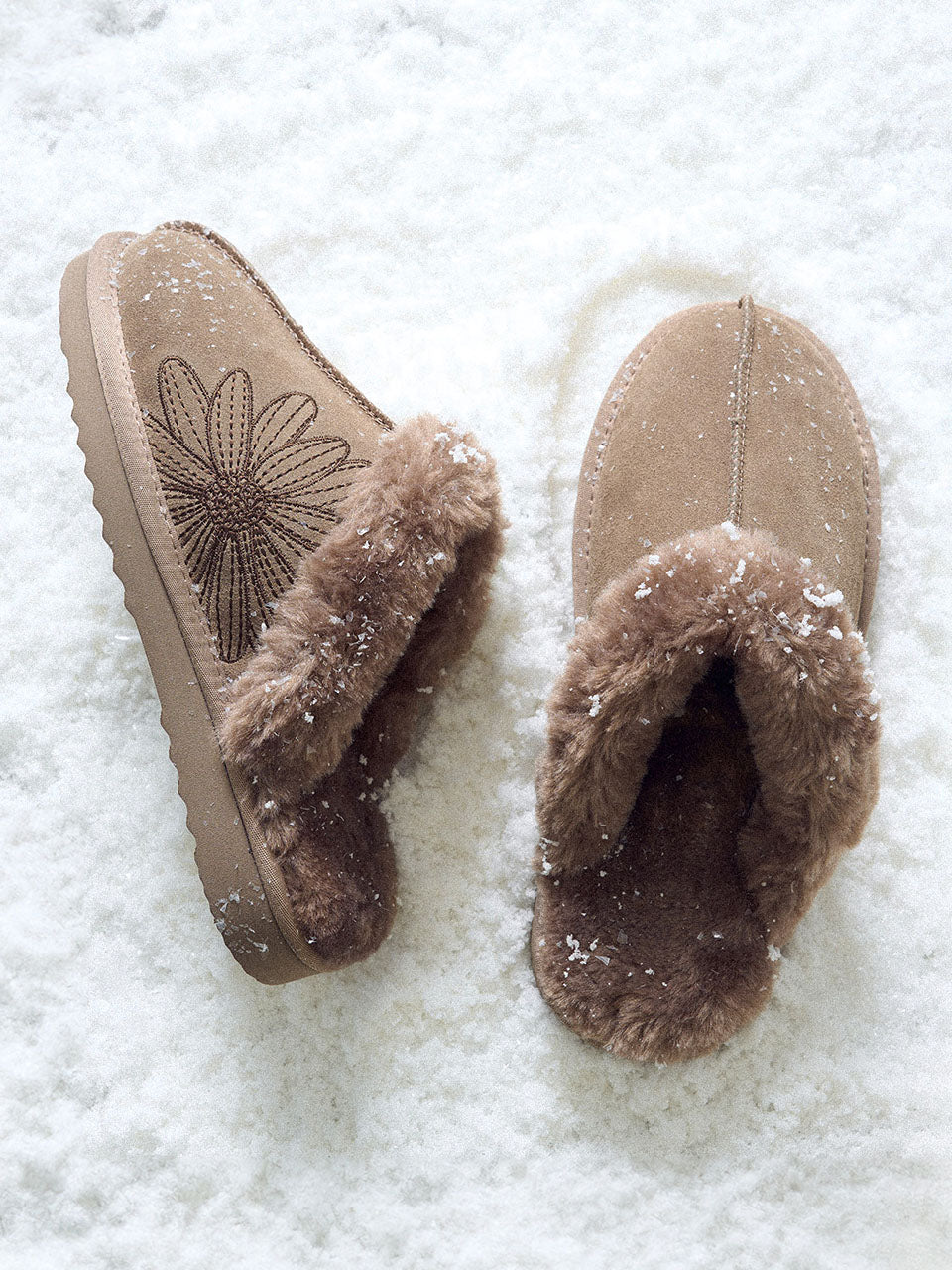 Mardi Mercredi CLASSIQUE SLIPPER (2CM)