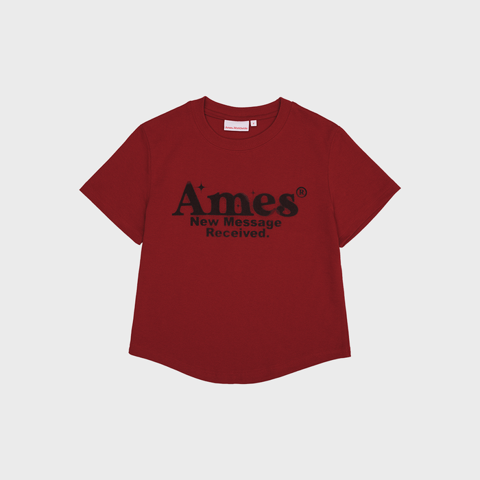 ROUND HEM CROP TEE