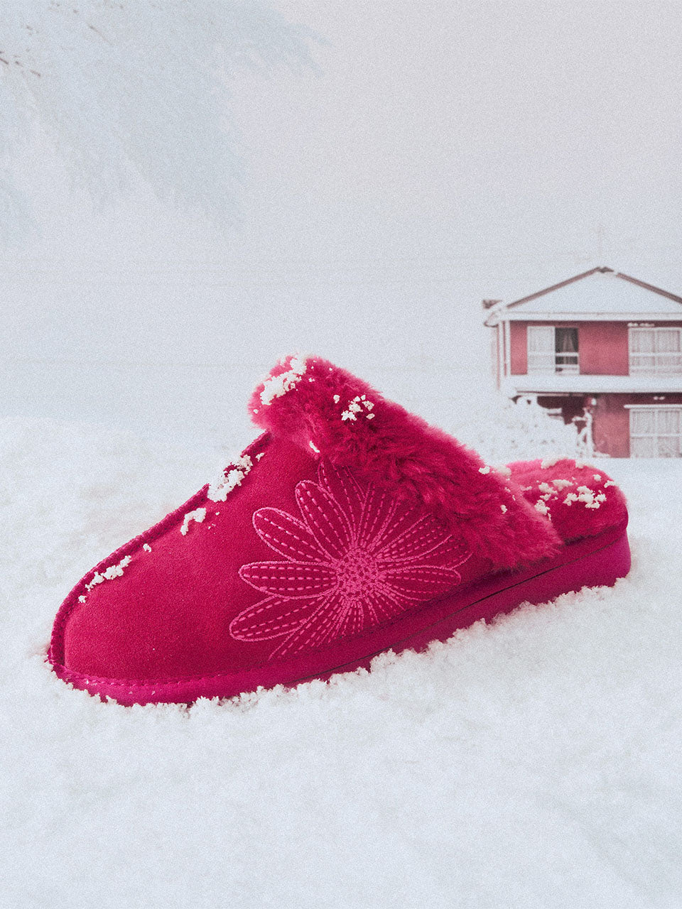 Mardi Mercredi CLASSIQUE SLIPPER (2CM)