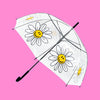 Bubble Umbrella (Dome Type)