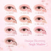 [2025 Spring Limited Edition] Dasique Blooming Single Shadow