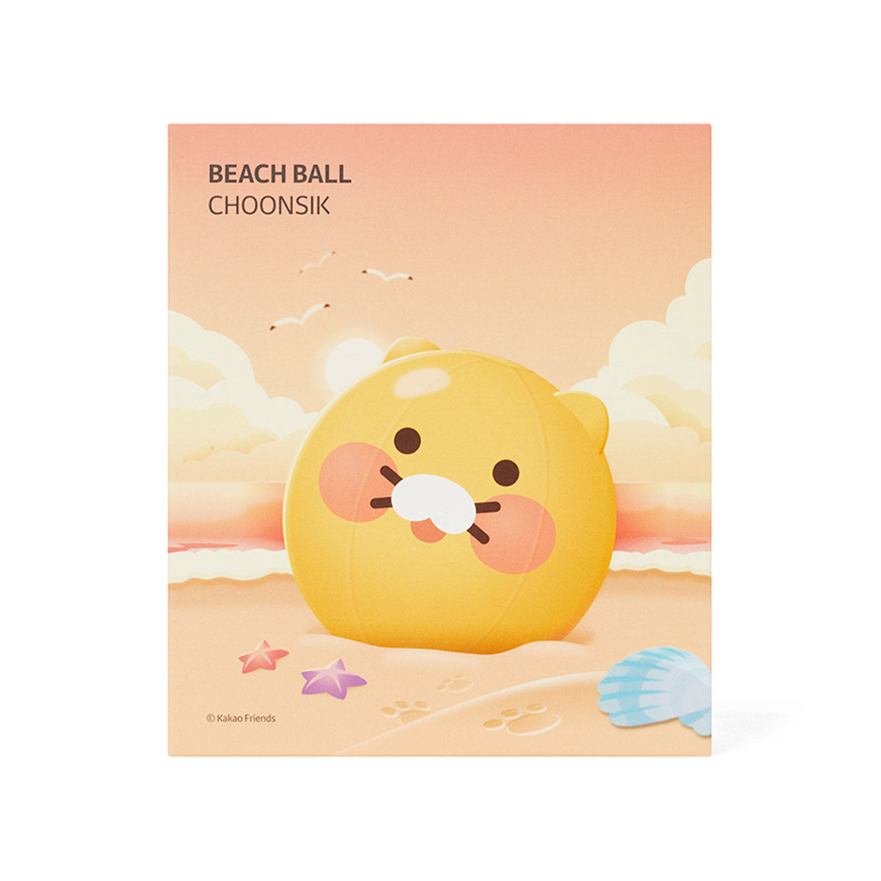 Beach Ball