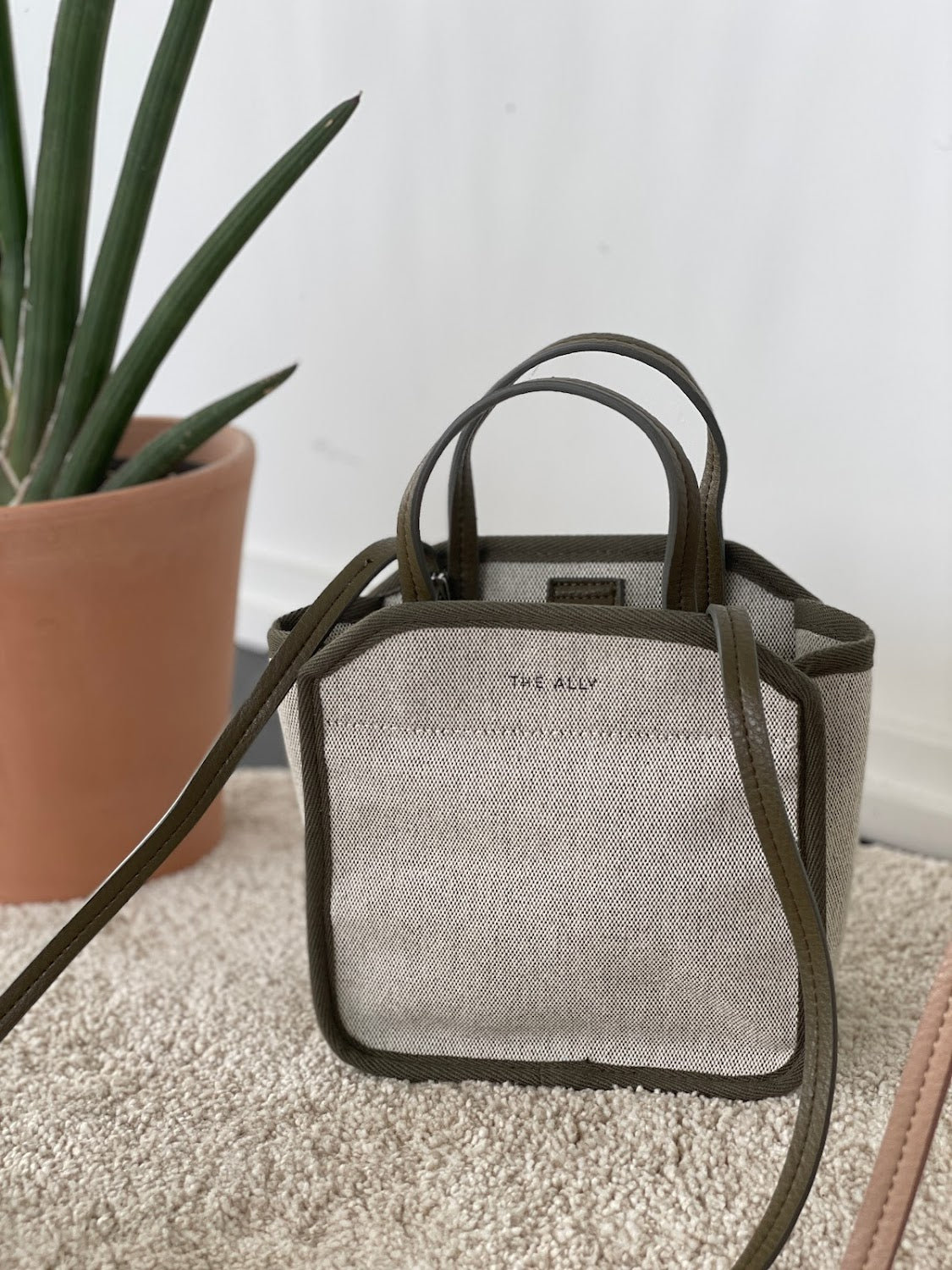 Dana Mini Tote Bag